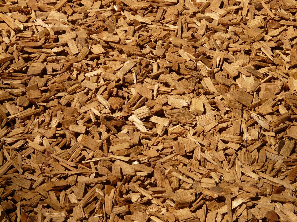 dăm gỗ, wood chips - Công Ty TNHH Biomass Nam Long